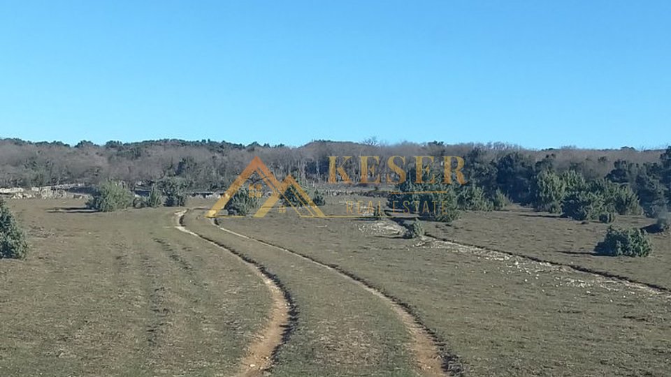 CRES, AGRICULTURAL, 163000 M2