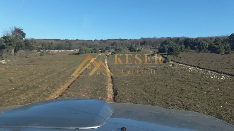 CRES, AGRICULTURAL, 163000 M2