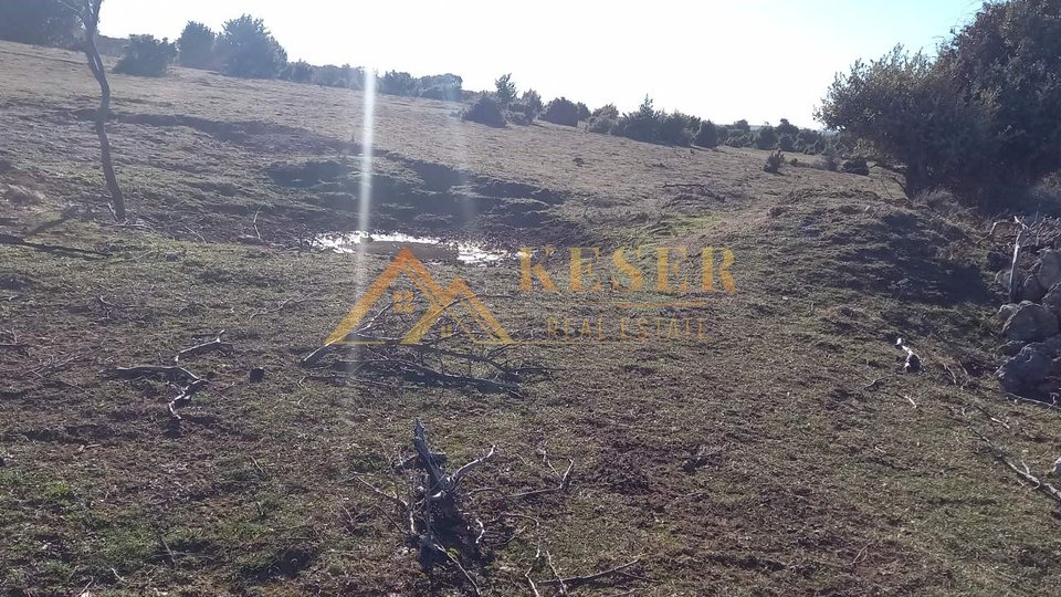 CRES, AGRICOLO, 163000 M2