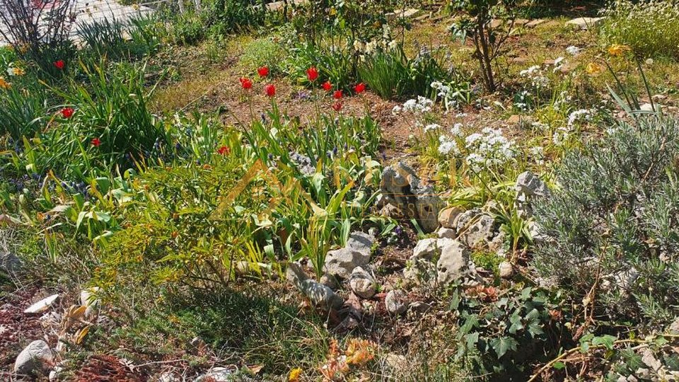 KRNJEVO, KUĆA SA 2 STANA I GARSONJEROM