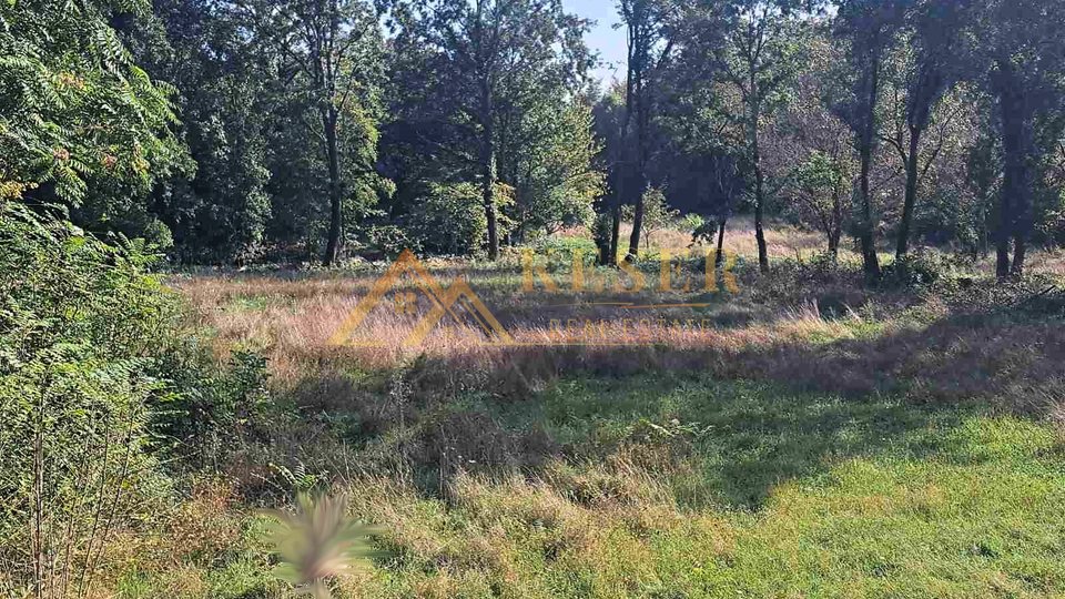CAVLE, COMPLETELY FLAT LAND, 100 METERS FROM THE CENTER