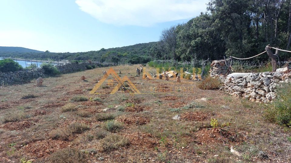 LOŠINJ-ARCHIPEL, FÜR ALLE, DIE IHRE RUHE UNTER DER SONNE SUCHEN