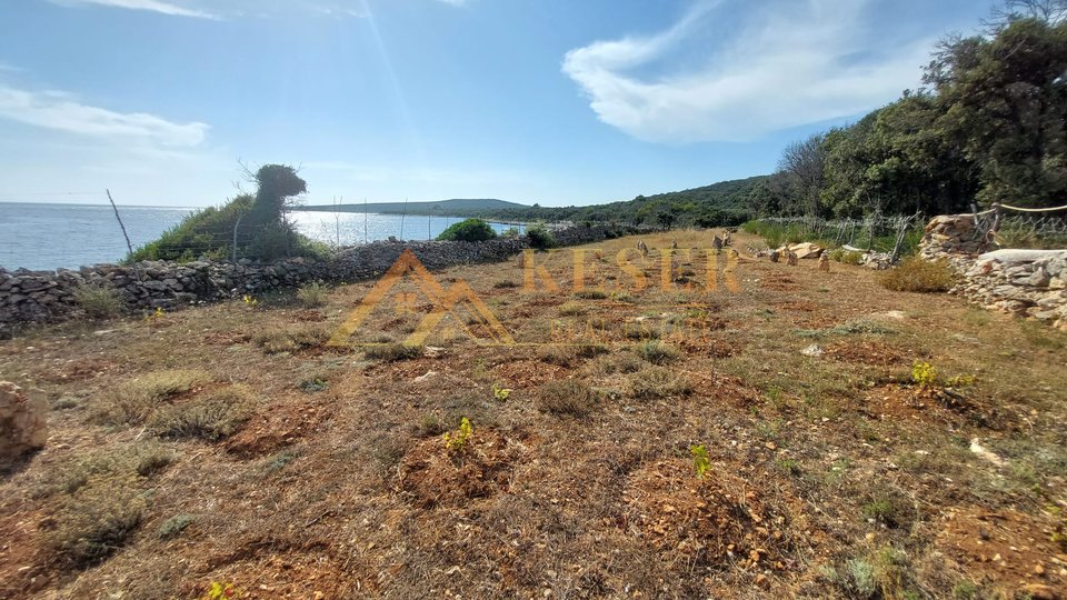 L'ARCIPELAGO DI LUSSINO, PER CHI CERCA LA PACE SOTTO IL SOLE