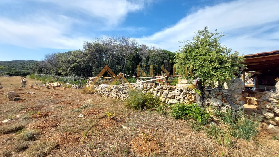 LOŠINJ-ARCHIPEL, FÜR ALLE, DIE IHRE RUHE UNTER DER SONNE SUCHEN