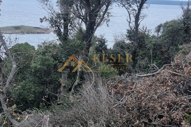 MALI LOŠINJ, ĆUNSKI, AGRICULTURAL LAND, VIEW...